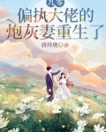九零偏执大佬的炮灰妻重生了免费阅读