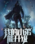我的小弟能升级zip下载