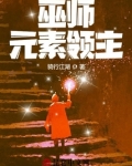 巫师:元素领主百度百科