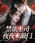 禁欲上司夜夜来敲门在线观看