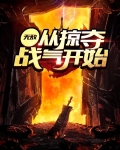 无敌：从掠夺战气开始