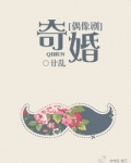 奇婚[偶像剧]