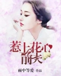 惹上花心前夫