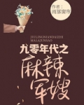 九零年代之麻辣军嫂全文免费阅读