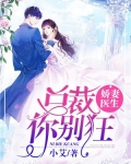 娇妻医生,总裁你别狂 小说