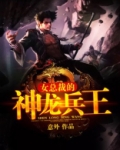 美女总裁的神龙兵王下载