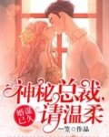 婚谋已久：神秘总裁，请温柔