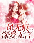 风无痕深爱无言