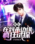 在娱乐圈的边缘疯狂试探 小说