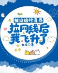 被迫给修真界拉网线后，我飞升了