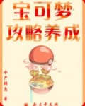 宝可梦攻略养成