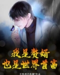 我是赘婿，也是世界首富