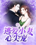 逃婚宠妻