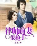 律师前妻很抢手书包简介