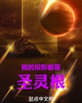 我的投影都是圣灵根免费