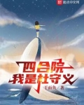 四合院：我是杜守义