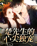 楚先生的心尖独宠