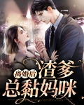离婚后渣爹总黏妈咪颜希湛南州,夫黏着她求复婚颜希