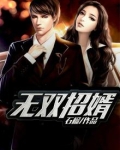 无双招婿 小说