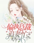 偏执总裁追妻忙