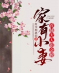 家有小妻：首辅大人很会撩