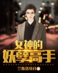 女神的妖孽高手
