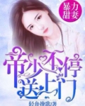 帝少爆宠甜妻霸上瘾免费阅读完整本