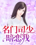 名门暖婚司少强势宠小说