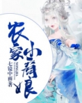 农家小商娘 小说