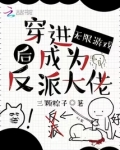穿进无限游戏后成为反派大佬