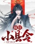 疯狂小县令