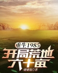 重生1985,开局荒地六十亩 作者:碰碰福