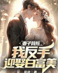 妻子背叛后悔了的小说