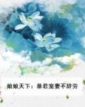 娘娘天下：暴君宠妻不辞劳