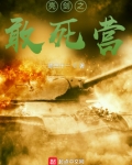 亮剑之敢死营