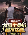 消失三年：我国士身份瞒不住啦