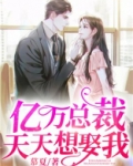 亿万总裁天天想娶我