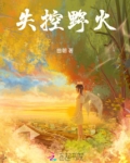 失控的火炮