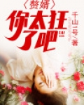赘婿，你太狂了吧