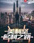 美利坚名利之路 小说