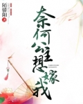奈何公主想嫁我小说