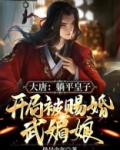 大唐：躺平皇子，开局被赐婚武媚娘