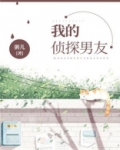 我的侦探男友