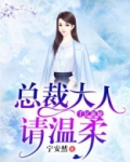 千亿新娘，总裁大人请温柔
