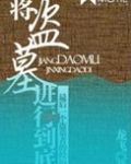 将盗墓进行到底详解