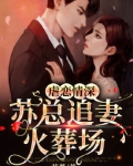 虐恋情深：苏总追妻火葬场