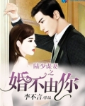 陆少谋妻之婚不由你