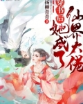 穿书后他成了仙界大佬