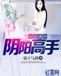 女总裁的阴阳高手 骑士与剑