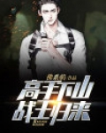 高手归来小说